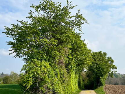 22-04-25 10-22-45 0608